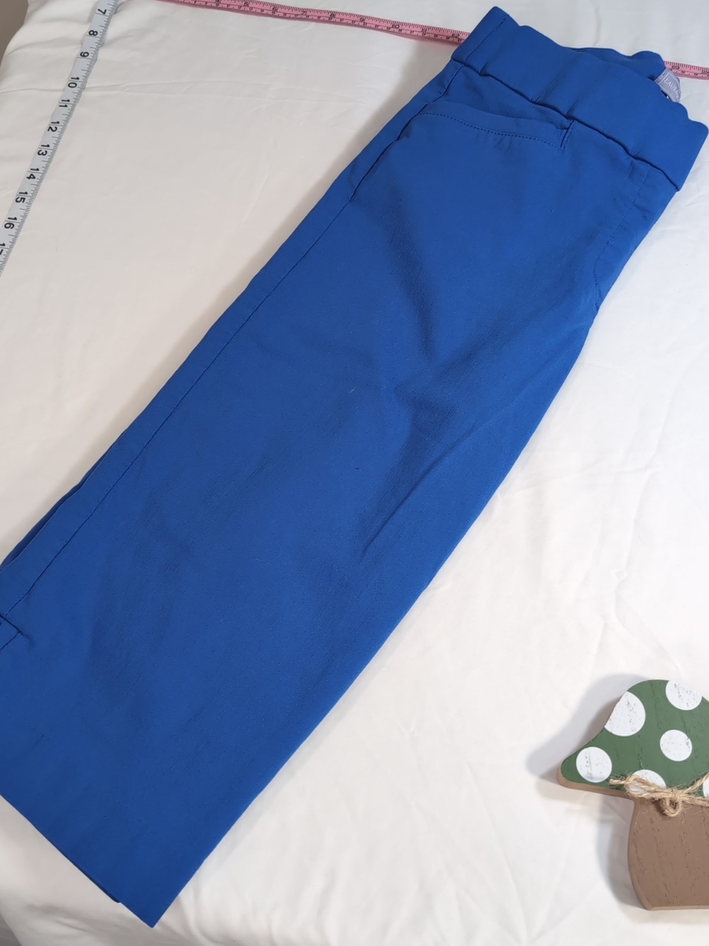 Laura Scott Men's Bright Blue Chinos